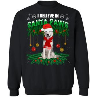 Funny Xmas Alaska Dog I Believe In Santa Paws Christmas Hoodie Graphic Design Printed Casual Daily Basic Sweatshirt - Thegiftio UK