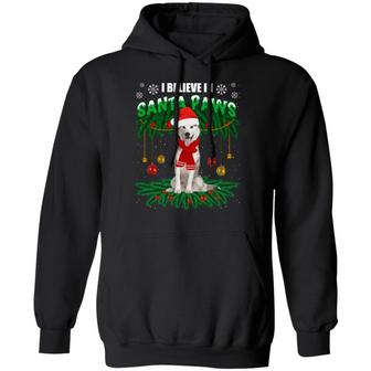 Funny Xmas Alaska Dog I Believe In Santa Paws Christmas Hoodie Graphic Design Printed Casual Daily Basic Hoodie - Thegiftio UK