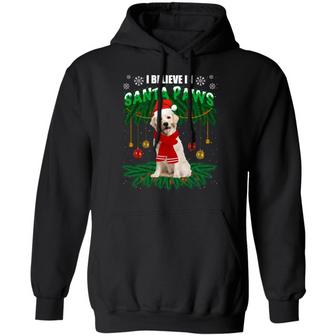 Funny Xmas Golden Retriever Dog I Believe In Santa Paws Christmas Hoodie Graphic Design Printed Casual Daily Basic Hoodie - Thegiftio UK