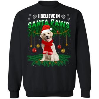 Funny Xmas Golden Retriever Dog I Believe In Santa Paws Christmas Hoodie Graphic Design Printed Casual Daily Basic Sweatshirt - Thegiftio UK