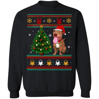 Pitbull Lights Tree Ugly Christmas Sweater Funny Xmas Gift Tee For Dog Lovers Graphic Design Printed Casual Daily Basic Sweatshirt - Thegiftio UK