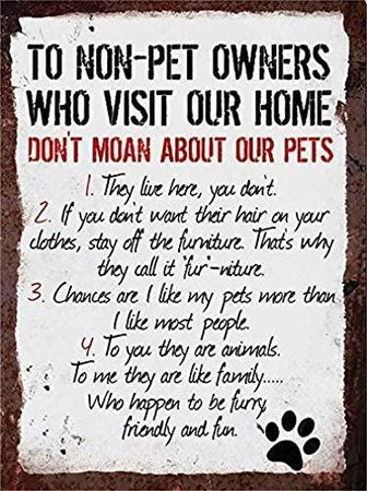 New Tin Sign Rules To Non Pet Owners Dog Cat Lover Steel Poster Gift Aluminum Metal Sign For Wall Decor - Thegiftio