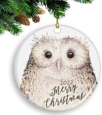 2022 Annual Events Christmas Ornament, 2022 Christmas Ornaments Pendant, Cute Funny Owl Merry Christmas Ornament, Keepsake, Christmas Ornament Gift