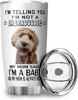 Stainless Steel Coffee Cup Double Wall Vacuum Insulated Tumbler Funny Dog Labradoodle My Mom Is Always Right Car Mug For Ice Drink Hot Beverage White 20oz - Thegiftio UK