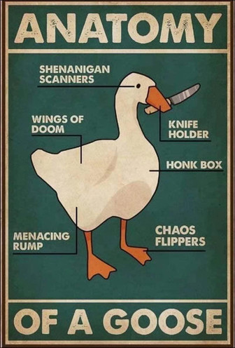 Anatomy Of A Goose Vintage Funny Goose Metal Sign Funny Goose Knifies Metal Poster Vintage Home Decor Metal Tin Sign For Coffee Studio Office Bar Cave Wall Decor - Thegiftio UK