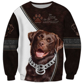 Labrador Sweatshirt, Sweatshirt For Humans Christmas Sweater 3D Print Crewneck Men Women Sweater - Thegiftio UK