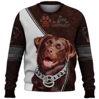Labrador Sweater, Dog Sweater For Humans Christmas Sweater 3D Print Crewneck Men Women Sweater, Men Women 3D Print Sweater - Thegiftio UK