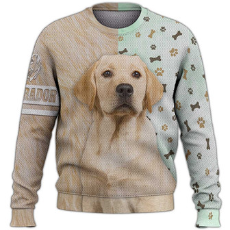Labrador Sweater, Dog Sweater For Humans Christmas Sweater 3D Print Crewneck Men Women Sweater, Men Women 3D Print Sweater - Thegiftio UK