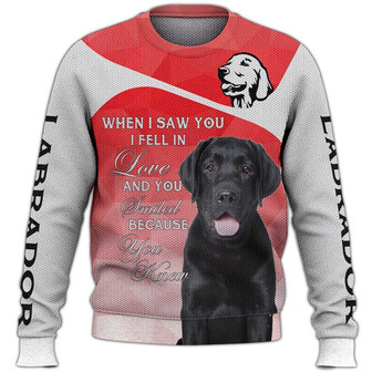 Labrador Sweater, Dog Sweater For Humans Christmas Sweater 3D Print Crewneck Men Women Sweater, Men Women 3D Print Sweater - Thegiftio UK