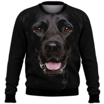 Labrador Sweater, Dog Sweater For Humans Christmas Sweater 3D Print Crewneck Men Women Sweater, Men Women 3D Print Sweater - Thegiftio UK