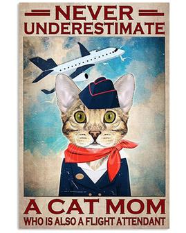 Vintage Tin Sign Never Underestimate A Cat Mom Funny Novelty Metal Sign Retro Wall Decor for Home Garden Bars Plaque Tin Sign Gift  - Thegiftio UK