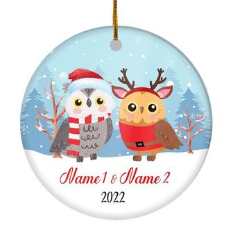 Personalized Owl Brother or Sister Christmas Ornament for Siblings Little Brother Sister with Names Customized Christmas Tree Ornament - Thegiftio UK