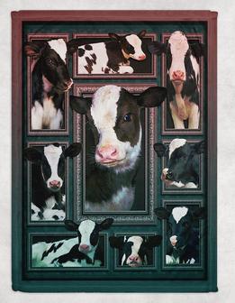Farmer Blanket, Farm Life Blanket, Dairy Cow Fleece Blanket - Thegiftio UK