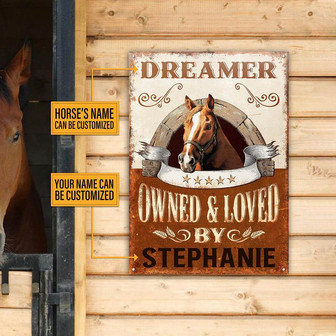 Metal Sign- Brown Horse Owned And Loved Rectangle Metal Sign Custom Name - Thegiftio UK