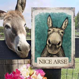 Metal Sign- Funny Portrait Of Donkey Nice Arse Home Decor Rectangle Metal Sign - Thegiftio