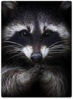 Raccoon Blanket Animal Pattern Digital Print Fleece Throw Black - Thegiftio UK