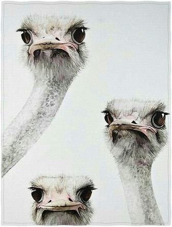 Three Cute Ostrich Throw Blanket Super Soft Lightweight Blanket for All Seasons - Thegiftio UK