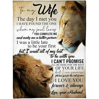To My Wife The Day I Met You Lion Couple Fleece Blanket Gift For Wife From Husband Home Decor Bedding Couch Sofa Soft - Thegiftio UK