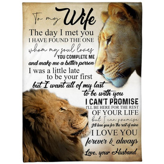 To My Wife The Day I Met You Lion Fleece Blanket Family Gift Home Decor Bedding Couch Sofa Soft And Comfy Cozy - Thegiftio UK