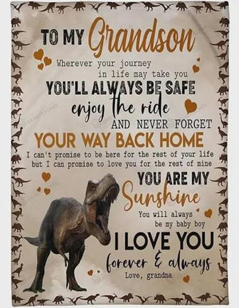 To My Grandson Dinosaur From Grandma You Are My Sunshine Great Blanket For Birthday Christmas Thanksgiving - Thegiftio UK