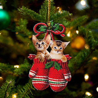 Abyssinian Inside Your Gloves Christmas Holiday-Two Sided Ornament, Christmas Ornament, Car Ornament - Thegiftio UK