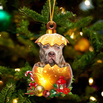 American Bully In Golden Egg Christmas Ornament - Thegiftio UK