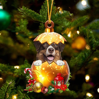 Australian Shepherd In Golden Egg Christmas Ornament - Thegiftio UK