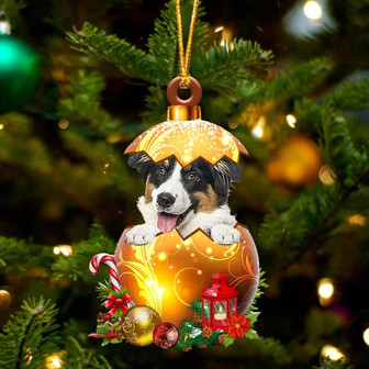 Australian Shepherd2 In Golden Egg Christmas Ornament - Thegiftio UK