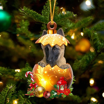 Belgian Tervuren In Golden Egg Christmas Ornament - Thegiftio UK