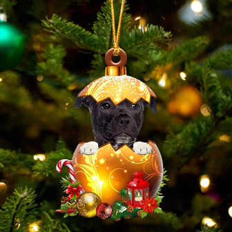 BLACK American Staffordshire Terrier In Golden Egg Christmas Ornament - Thegiftio UK