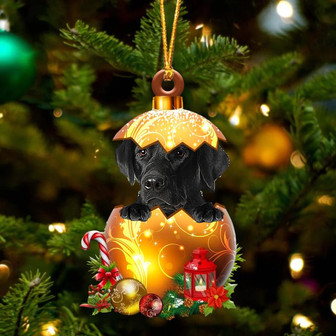 BLACK Labrador In Golden Egg Christmas Ornament - Thegiftio UK