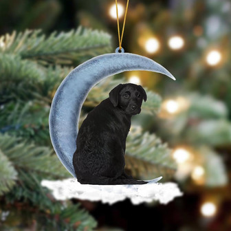 Black Labrador Retriever Sits On The Moon Hanging Ornament Dog Ornament, Car Ornament, Christmas Ornament - Thegiftio UK