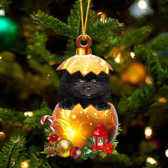 BLACK Pomeranian In Golden Egg Christmas Ornament - Thegiftio UK