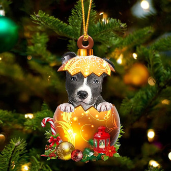 BLUE Nose Pitbull In Golden Egg Christmas Ornament - Thegiftio UK
