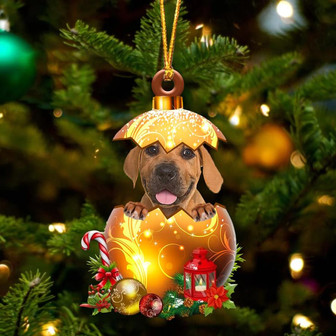 Boerboel In Golden Egg Christmas Ornament - Thegiftio UK