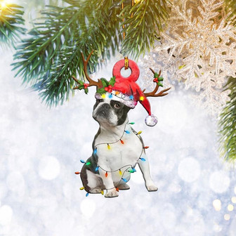 Boston Terrier Christmas Light Reindeer Ornament, Dog Lover Gifts, Christmas Tree Ornament, Home Decor Plastic Ornament - Thegiftio