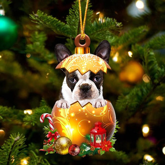 BRINDLE Boston Terrier In Golden Egg Christmas Ornament - Thegiftio UK