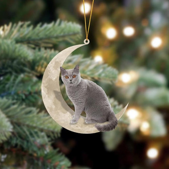 British Shorthair Cat Sits On The Moon Hanging Ornament Dog Ornament, Car Ornament, Christmas Ornament - Thegiftio