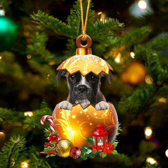 BROWN Boxer In Golden Egg Christmas Ornament - Thegiftio UK