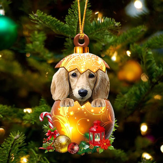 CREAM Long haired Dachshund In Golden Egg Christmas Ornament - Thegiftio UK