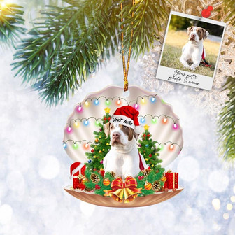 Custom Pet Dog Cat Sleeping Seashell Flat 2D Ornament Personalized Photo, Christmas Tree Ornament, Home Decor - Thegiftio UK