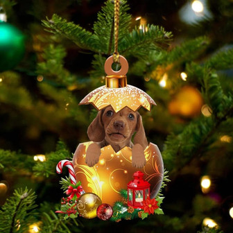 Dachshund In Golden Egg Christmas Ornament - Thegiftio UK