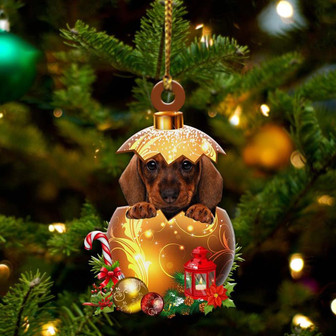 Dachshund3In Golden Egg Christmas Ornament - Thegiftio UK
