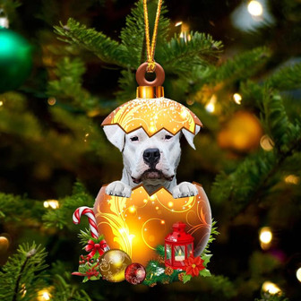 Dogo Argentino In Golden Egg Christmas Ornament - Thegiftio UK