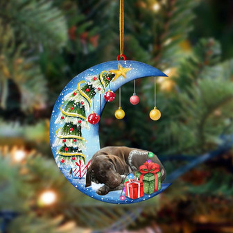 German Shorthaired Pointer-Sleep On The Moon Christmas Two Sided Ornament, Christmas Ornament, Car Ornament - Thegiftio UK