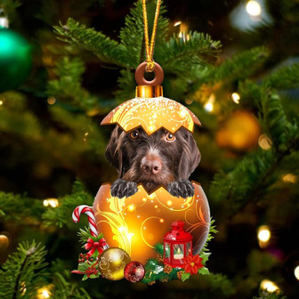 German Wirehaired Pointer In Golden Egg Christmas Ornament - Thegiftio UK