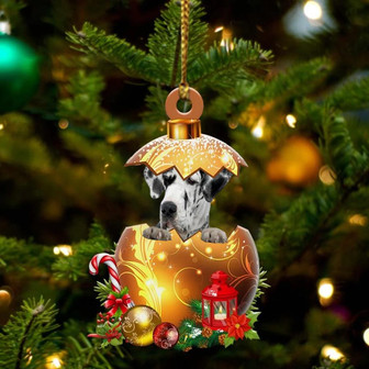 Great-Dane In Golden Egg Christmas Ornament - Thegiftio UK