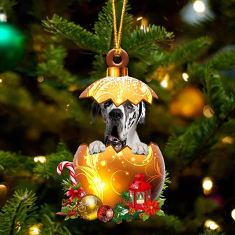 Great Dane2 In Golden Egg Christmas Ornament - Thegiftio UK
