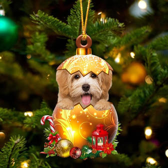 Havanese In Golden Egg Christmas Ornament - Thegiftio UK