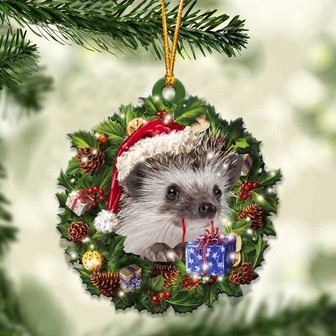 Hedgehog and Christmas gift for her gift for him gift for Hedgehog lover ornament, Christmas Ornament - Thegiftio UK